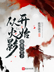 从火影开始做幕后黑手[精校版]